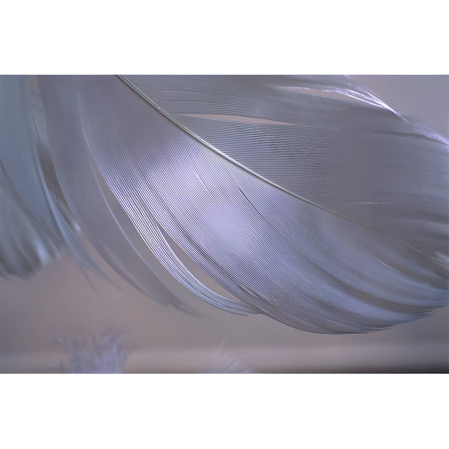 Imported image 74c063d10f0d 4605272.jpg