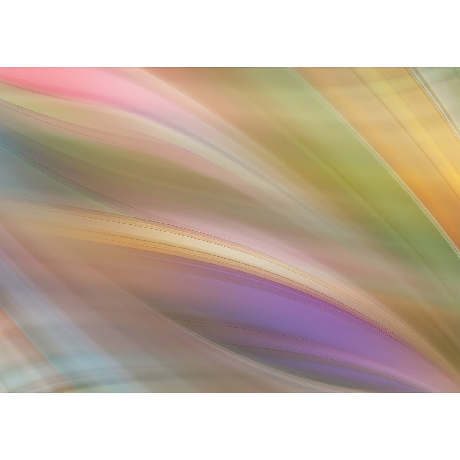 Imported image ec64e0aebb09 4608505.jpg