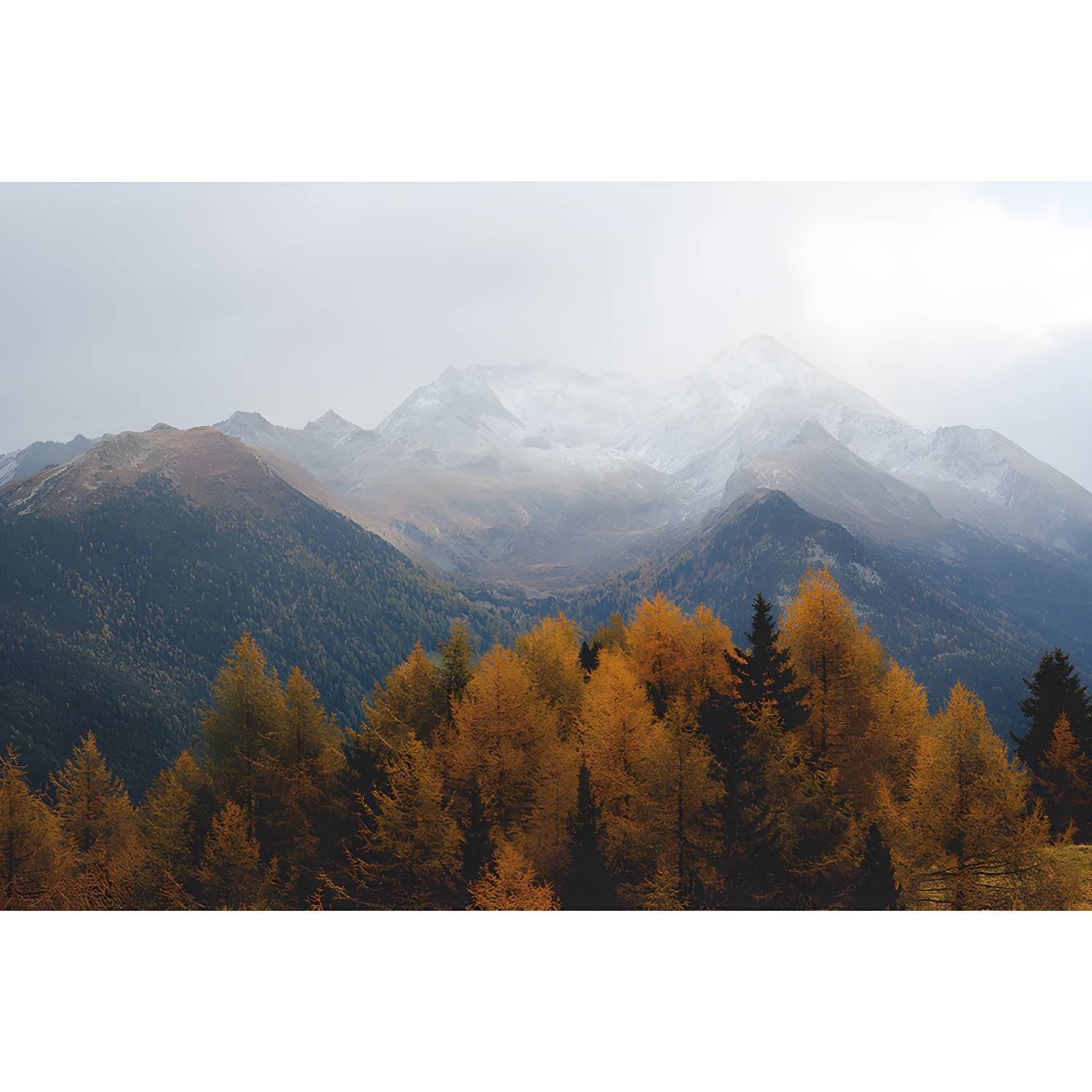 Imported image ff2319b6c1c2 4636765.jpg