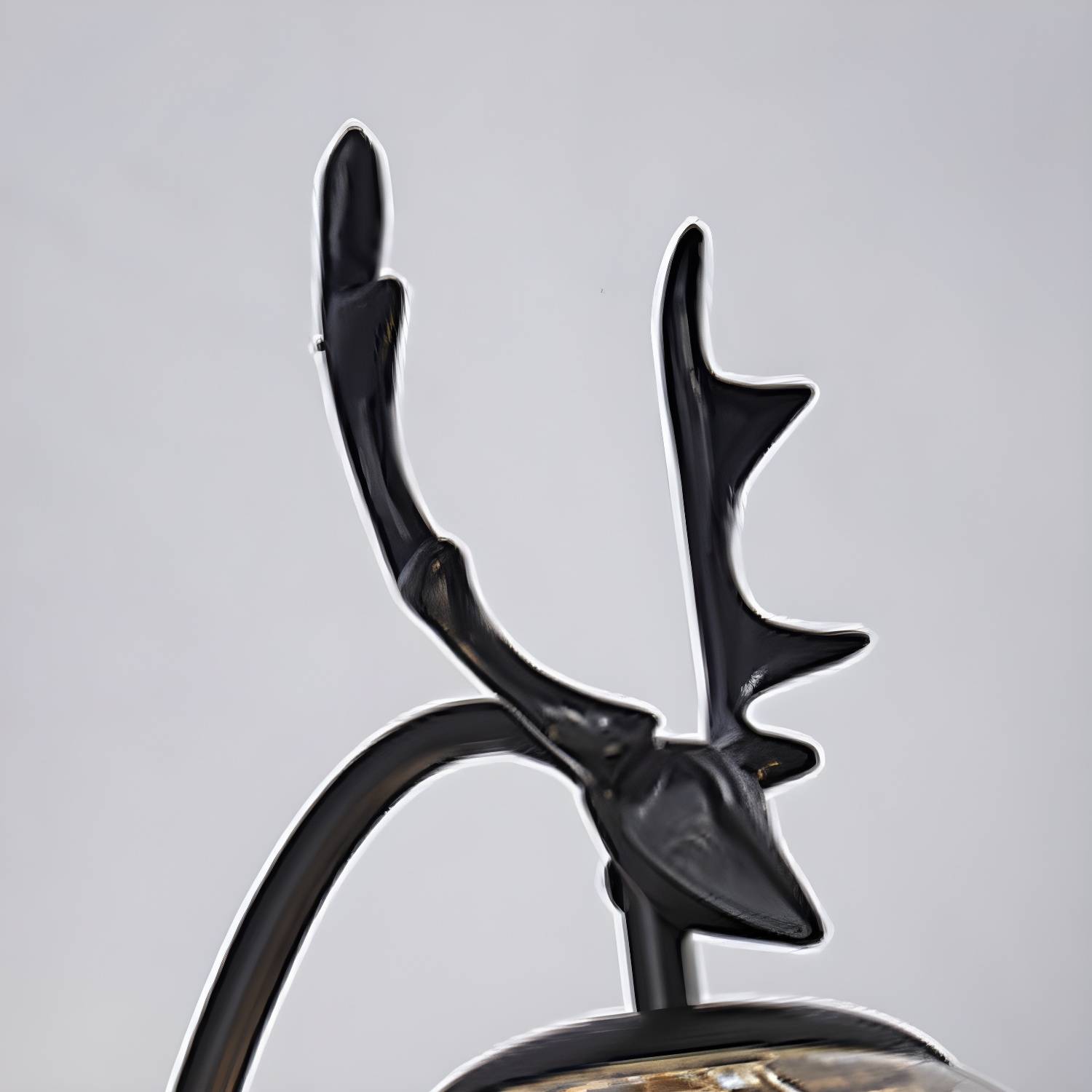 Imported image 819c7dd06179 4642550.jpg