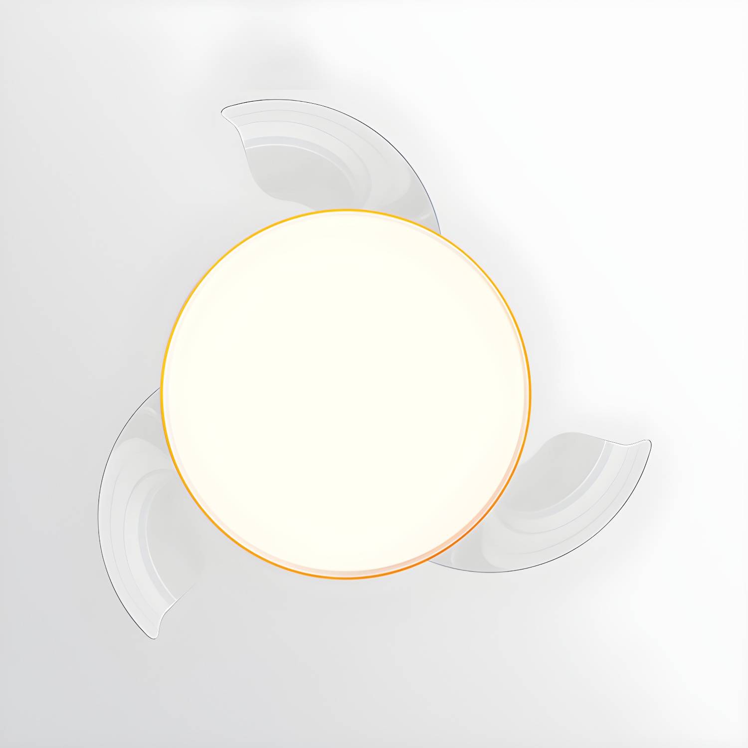 Imported image 370f5d734546 4643752.jpg