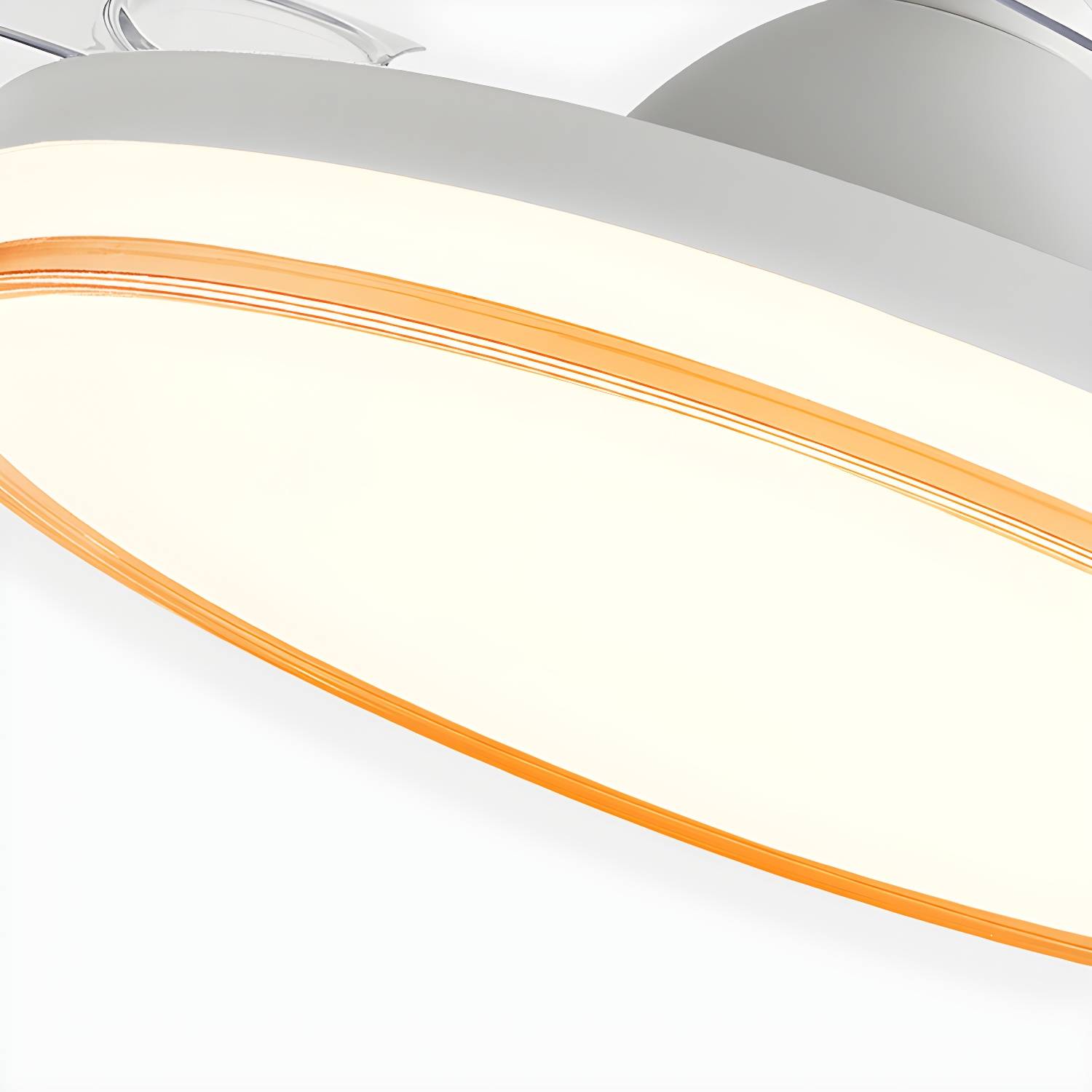 Imported image f9ab351d0514 4643755.jpg