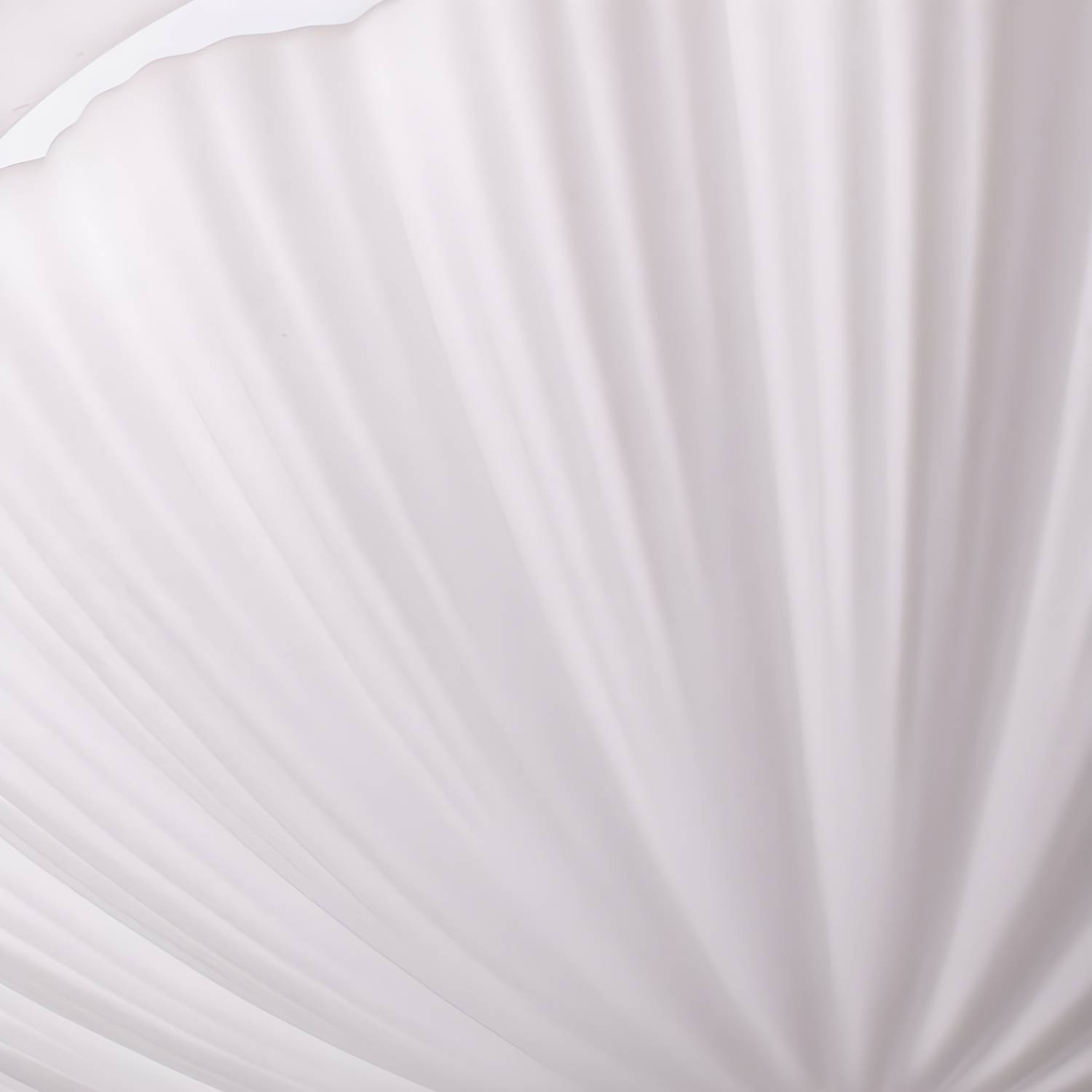 Imported image 3f49b1e6c335 4651262.jpg