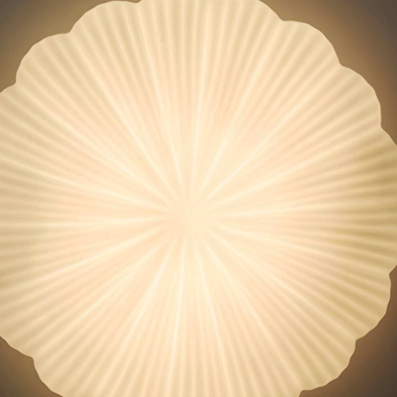 Imported image 4f4f0b3091a1 4651264.jpg