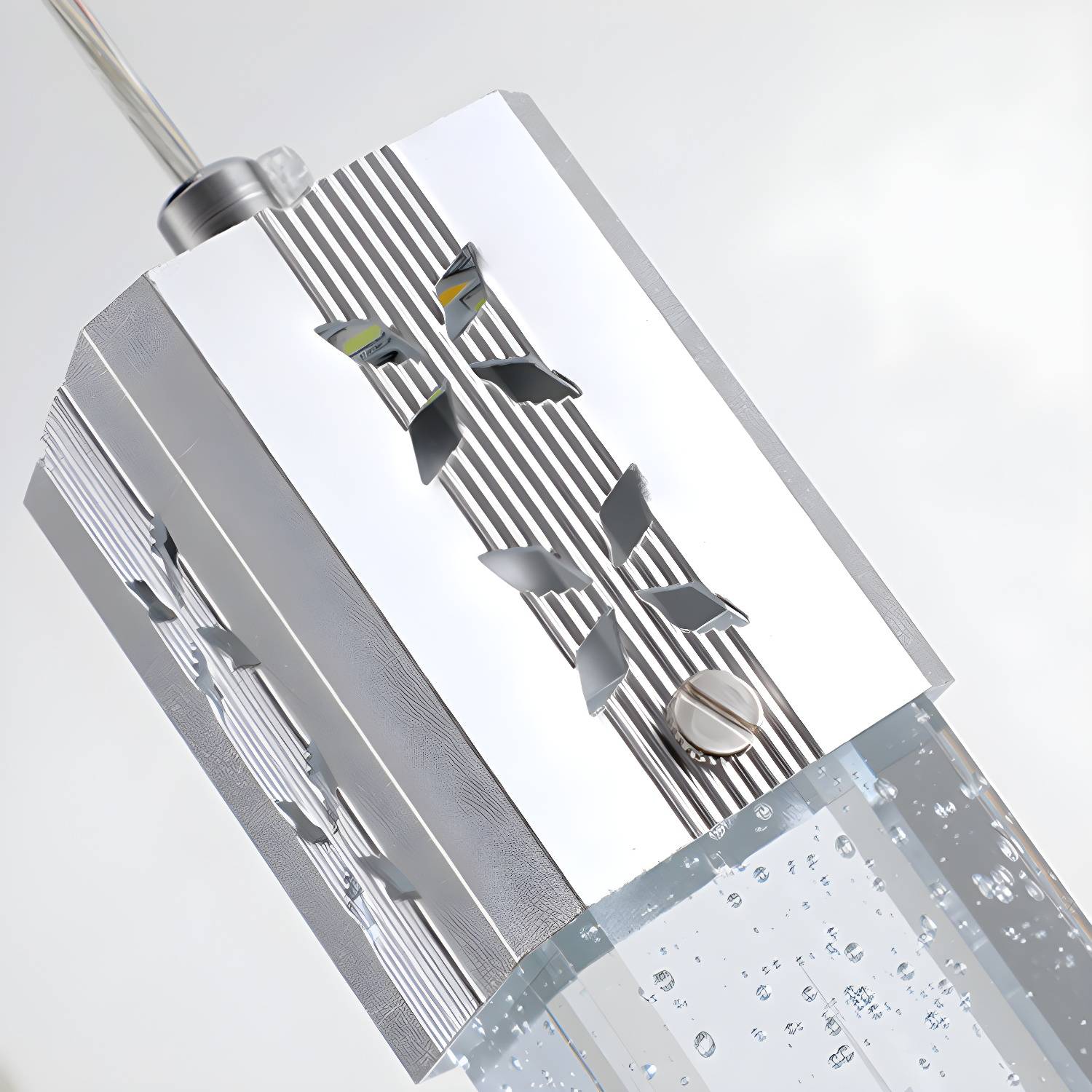Imported image 2f2ac04df85e 4668749.jpg