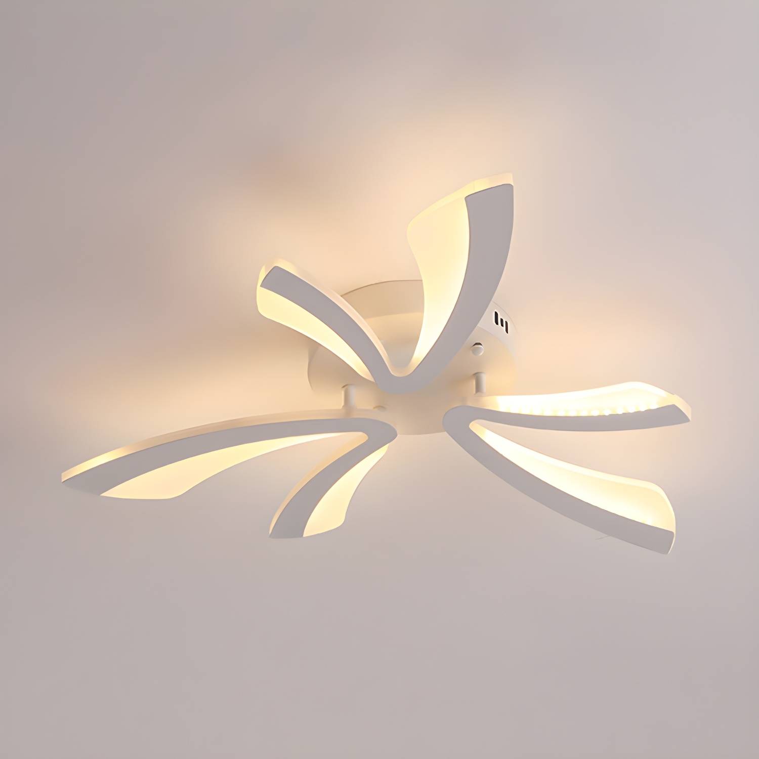 Imported image 1708cae85ffb 4681627.jpg