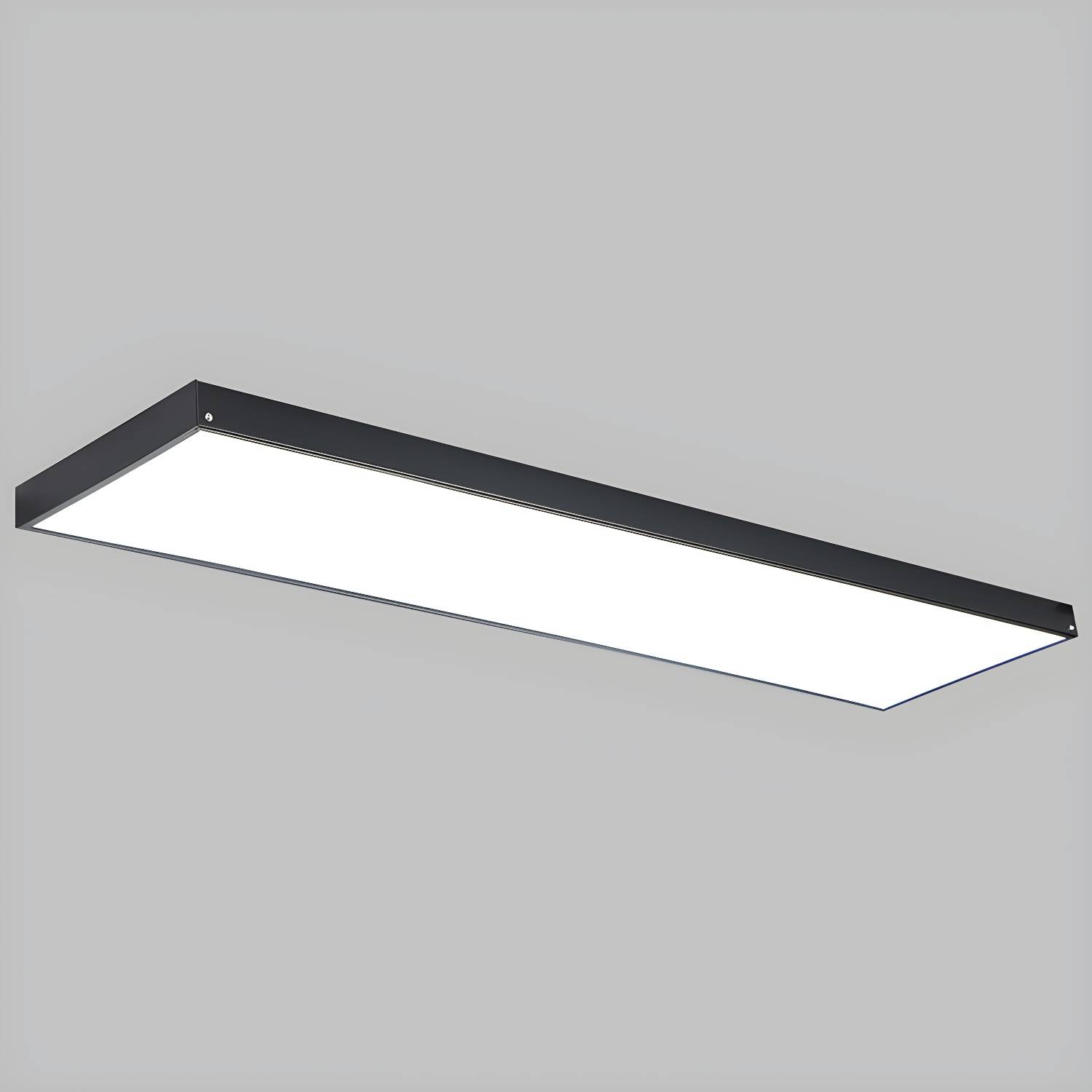 Imported image de012c671fe3 4694577.jpg
