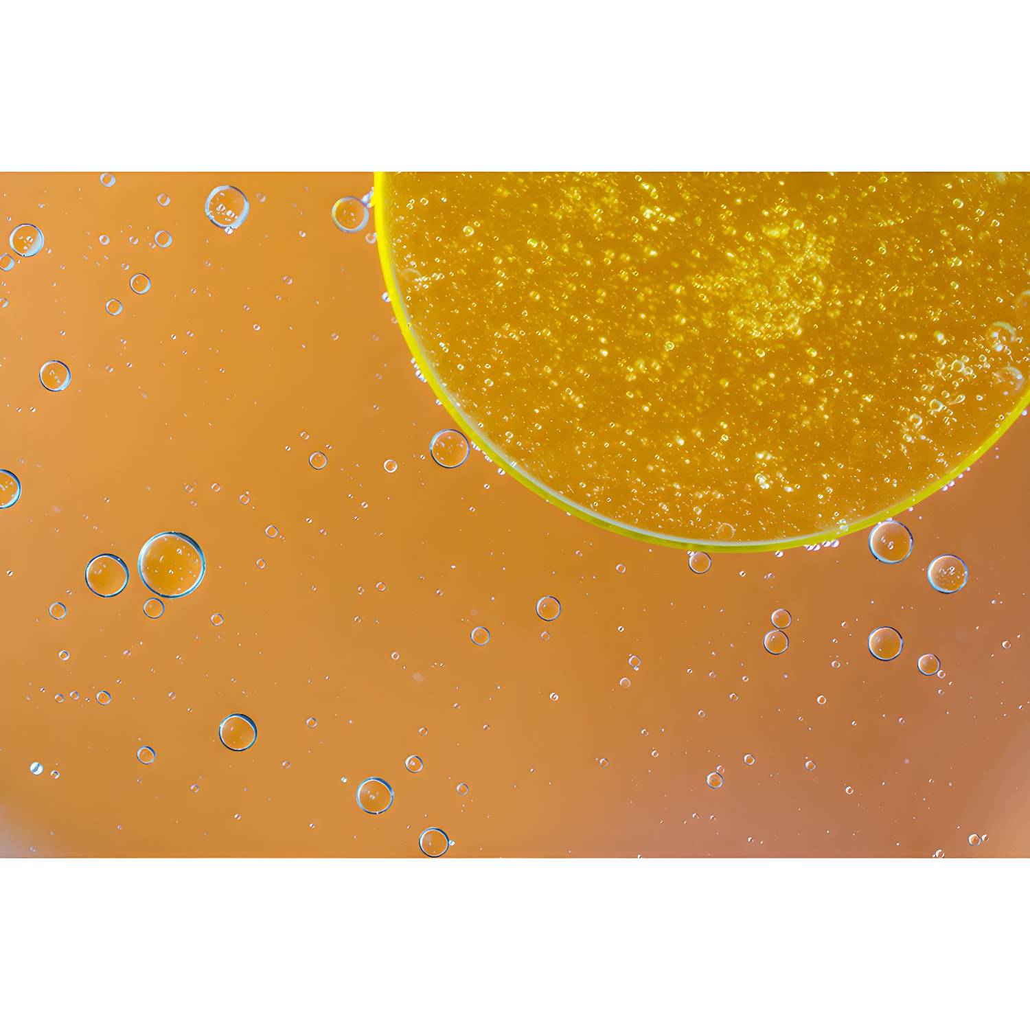 Imported image f05265899a45 4703195.jpg