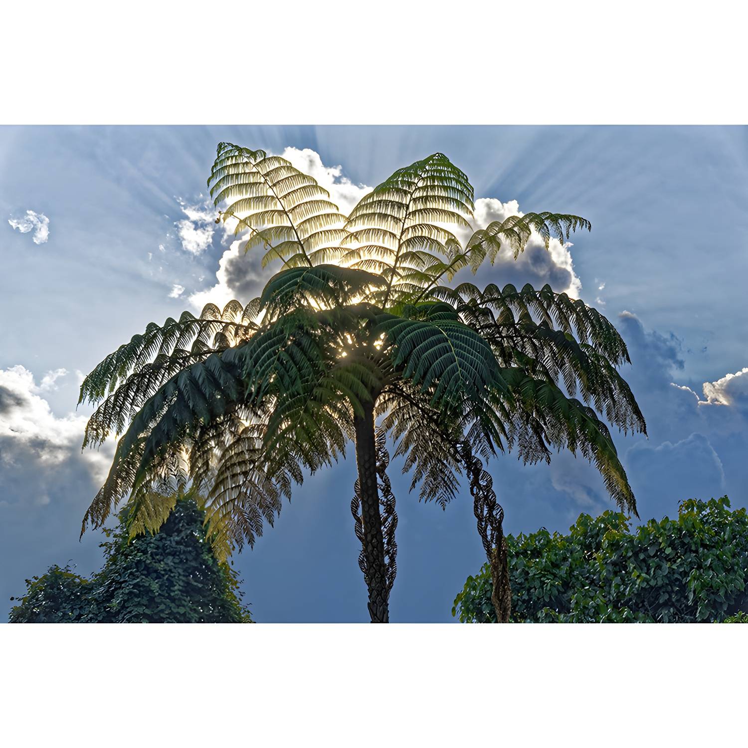 Imported image f7c257e0ea4f 4720846.jpg