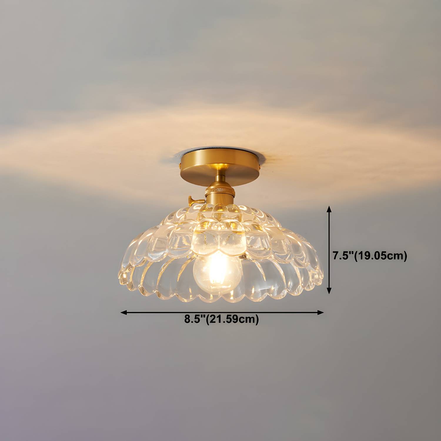Imported image 4829da20859a 4727677.jpg