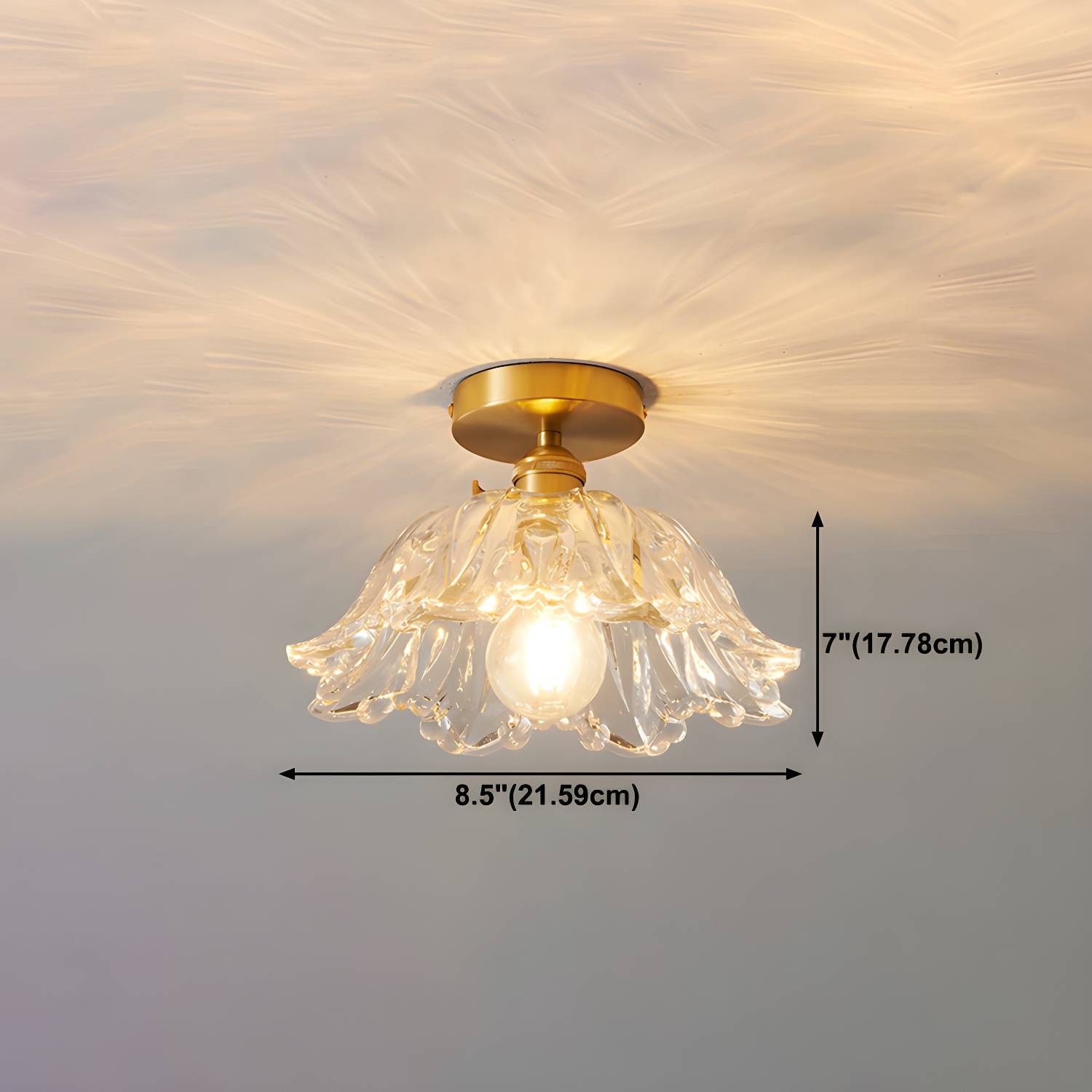 Imported image d3672f7dcf6a 4727681.jpg