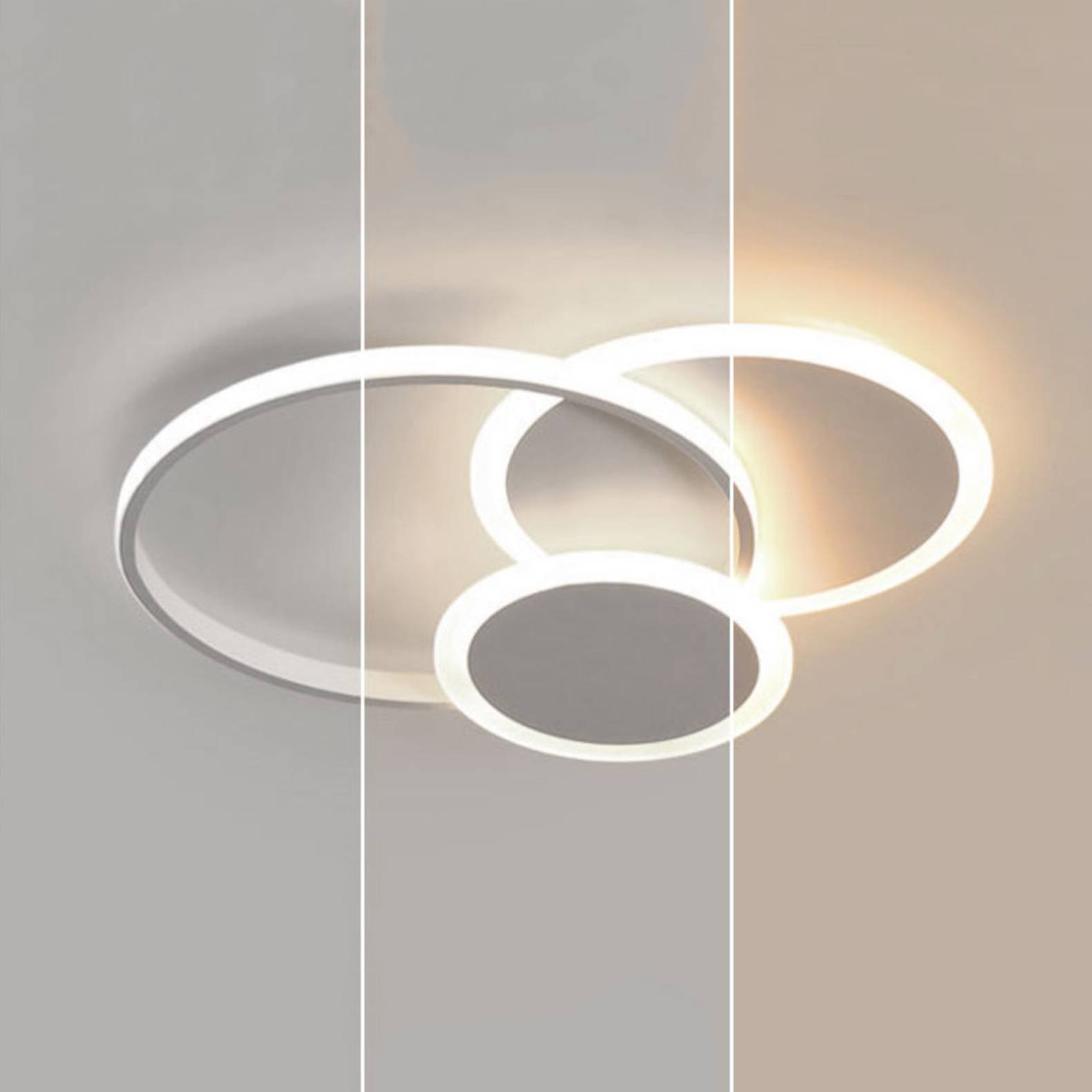 Imported image 47851b8e8ac9 4761566.jpg
