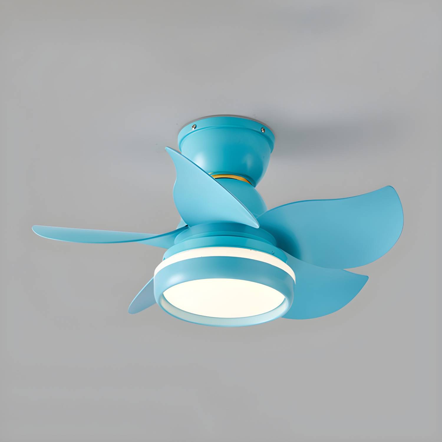 Imported image 313950e10787 4763782.jpg