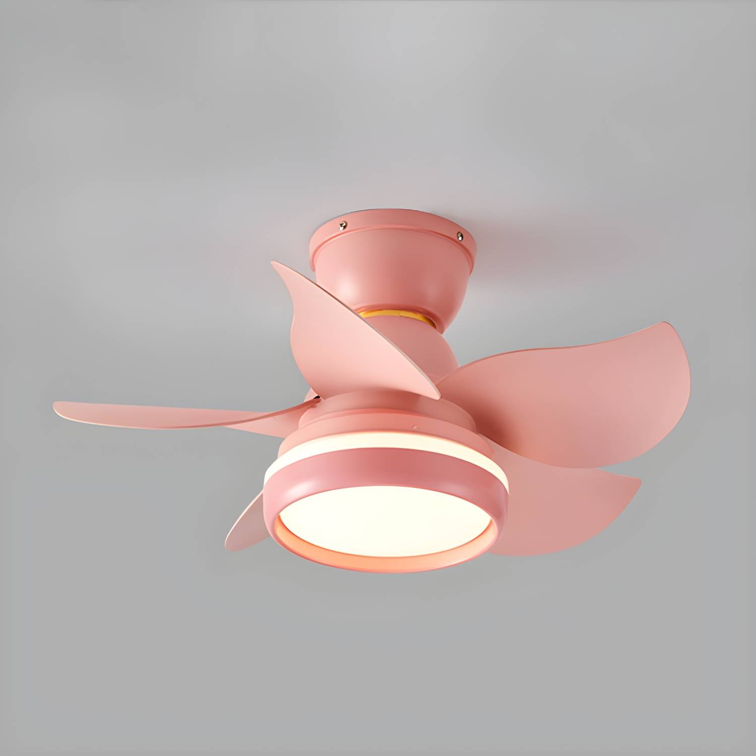 Imported image a25e3c03ada3 4763784.jpg