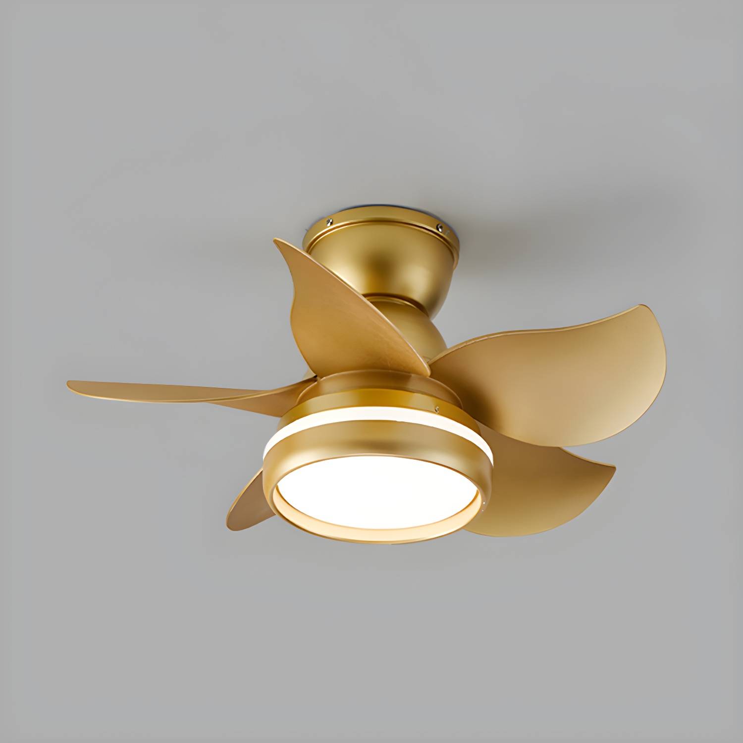 Imported image 63599b8f281e 4763786.jpg
