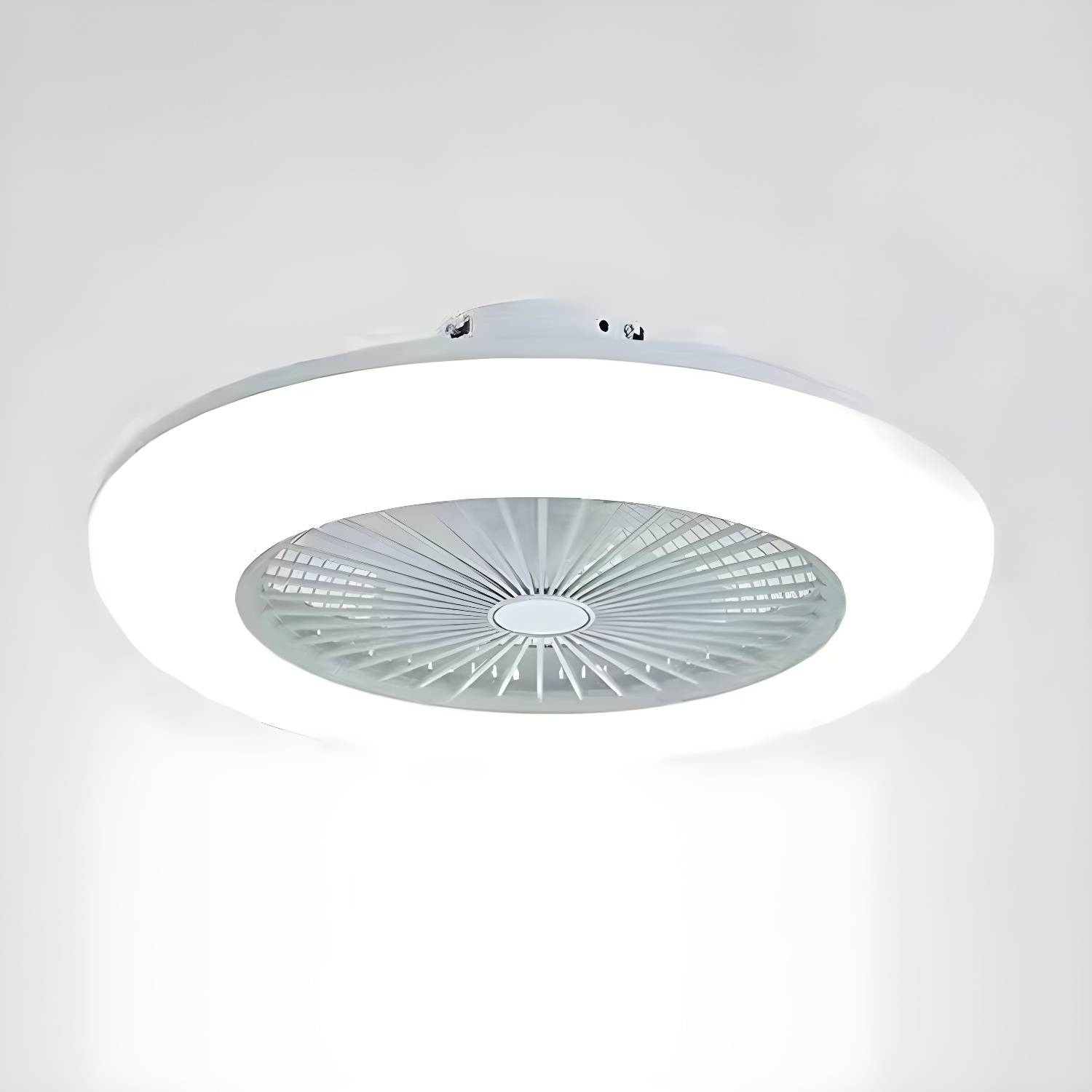 Imported image a65f30560e88 4773090.jpg
