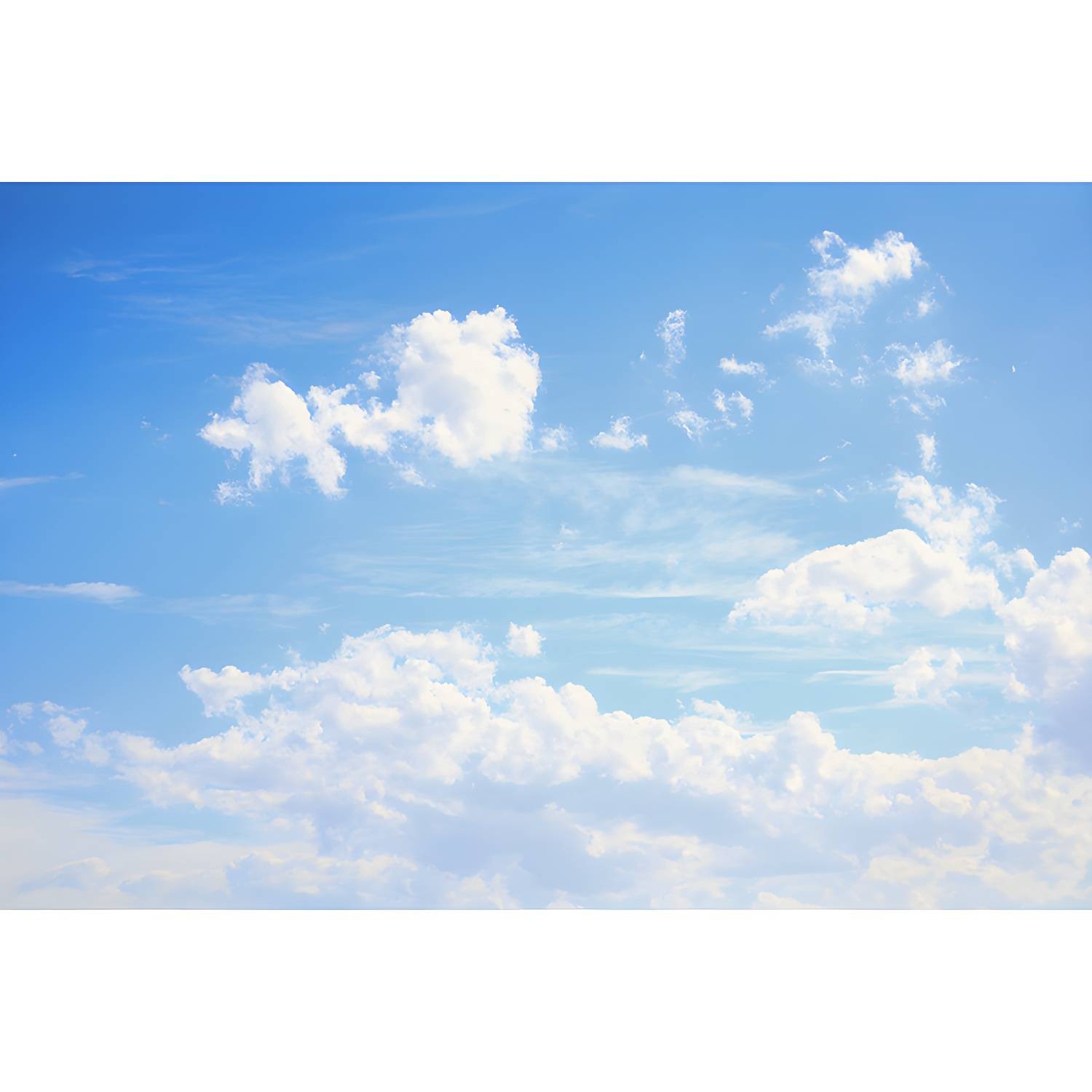 Imported image 466e3b6aab4a 4779303.jpg
