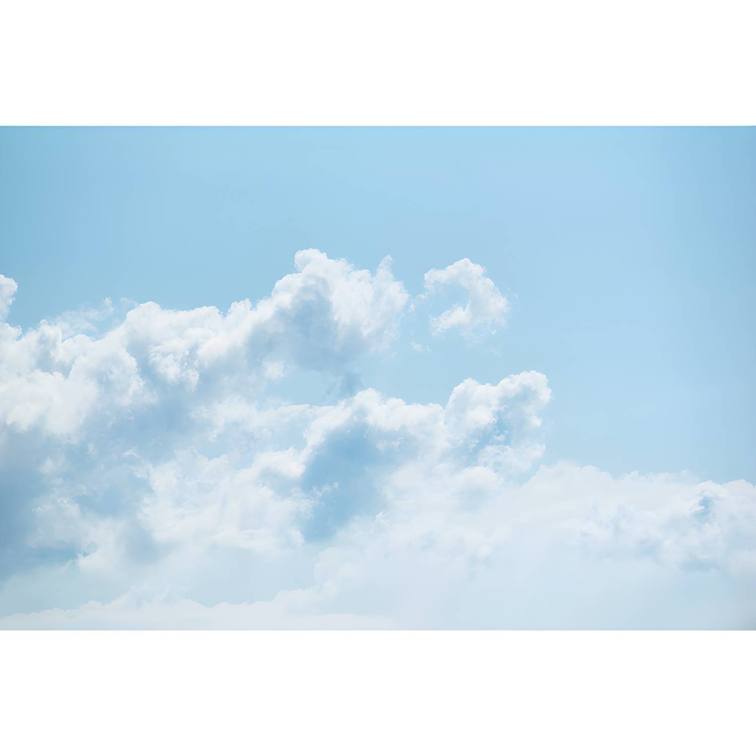 Imported image 3fbe339c6b23 4779334.jpg