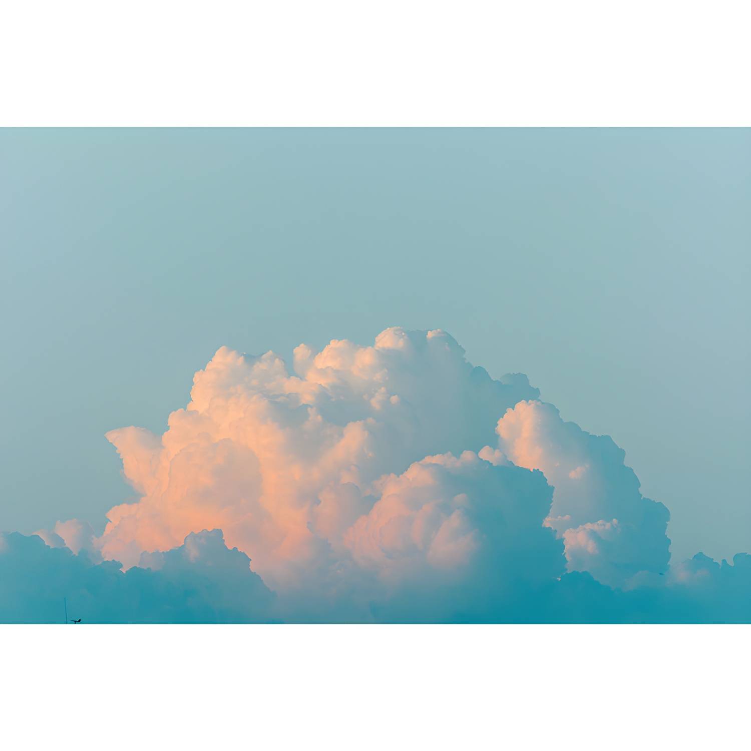 Imported image a47d6c8675ea 4779352.jpg