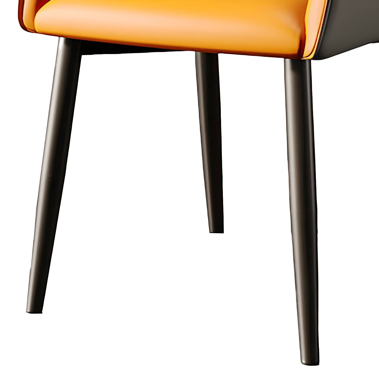 Imported image 8e5804507588 4781511.jpg