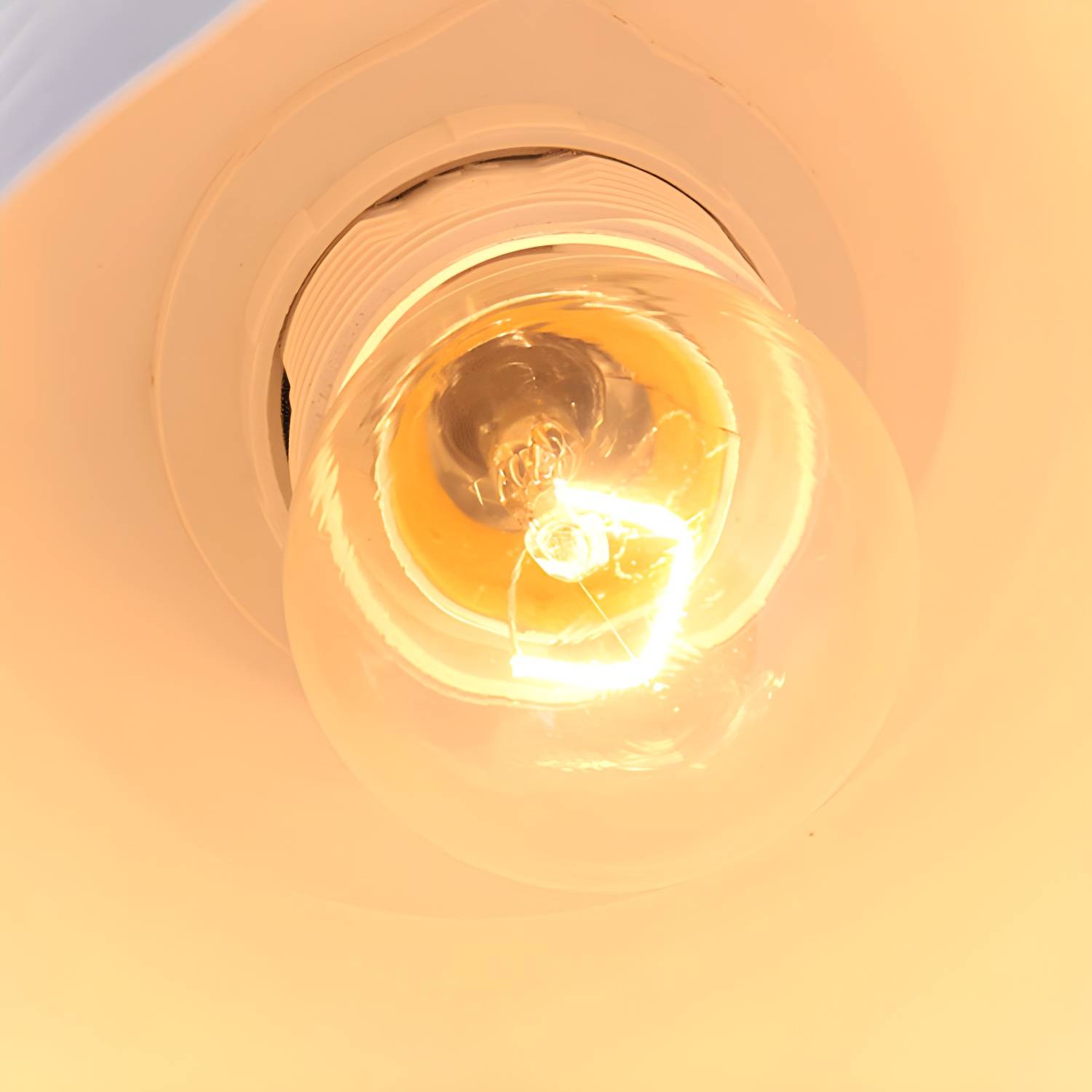 Imported image b48743bd604e 4794450.jpg