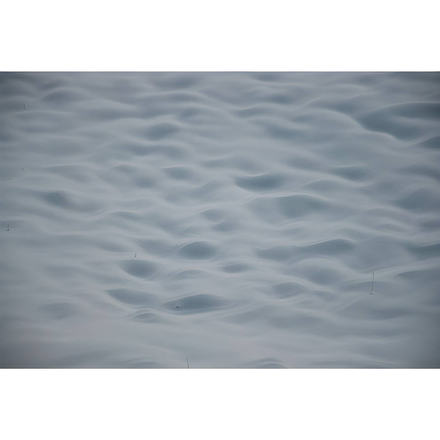 Imported image ce3857c91097 4814238.jpg