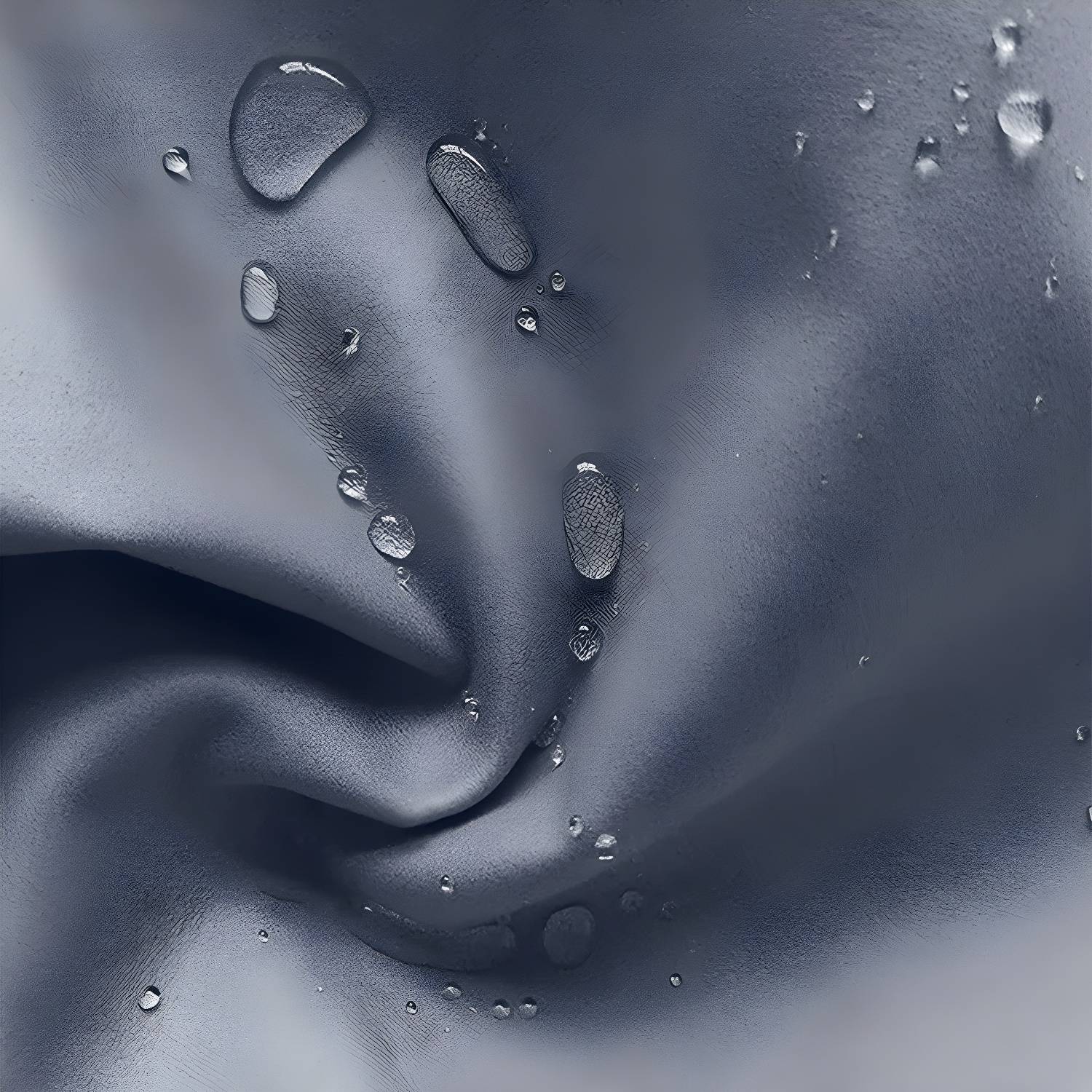 Imported image 8e58ee632dc1 4822527.jpg