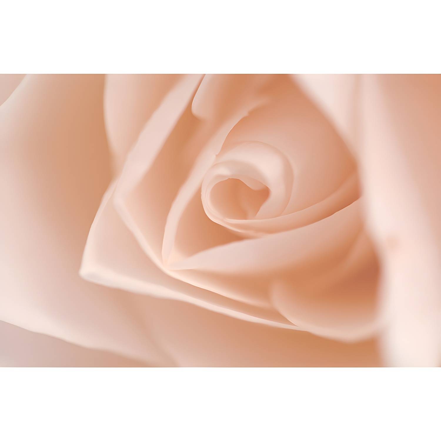 Imported image 4119203811d1 4824517.jpg