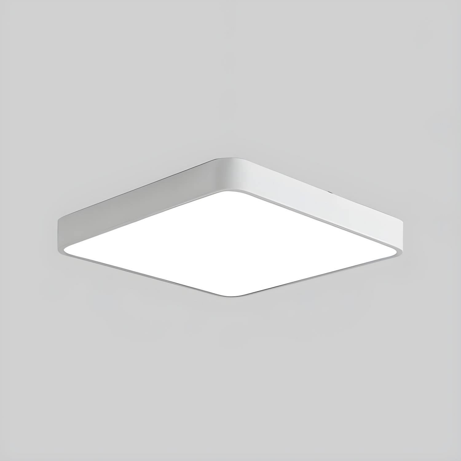 Imported image f921491ccdee 4827017.jpg