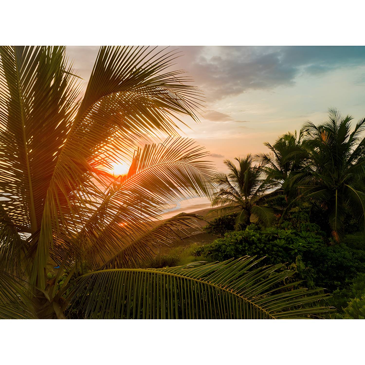 Imported image 45e3a8f368f1 4840325.jpg
