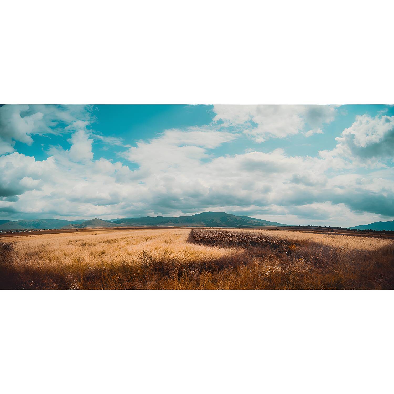 Imported image be815b44f9b6 4840515.jpg