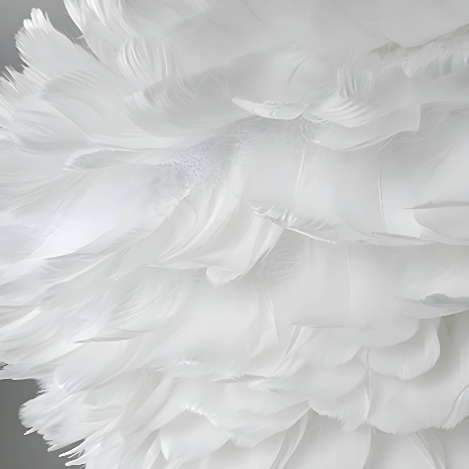 Imported image 8478dd2e495a 4867518.jpg