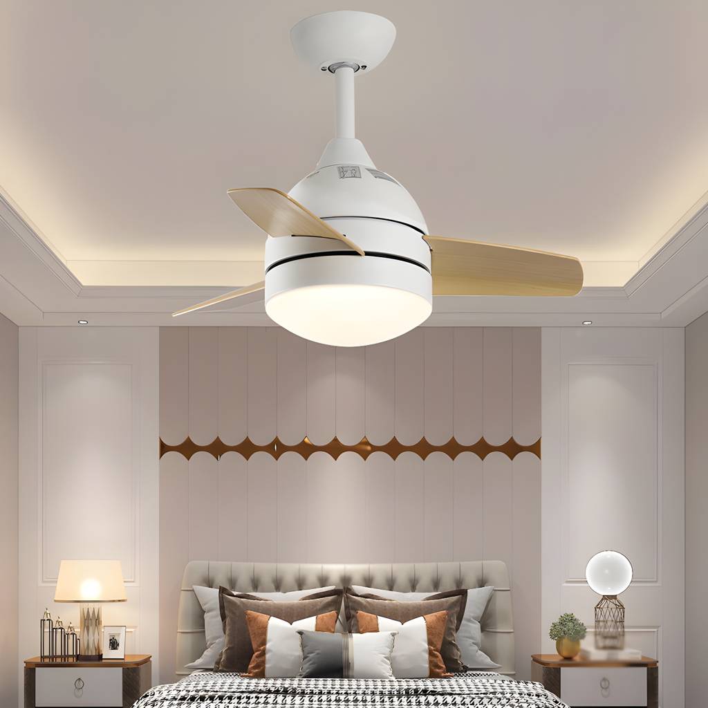 Imported image 6d9606e8856f 4868129.jpg