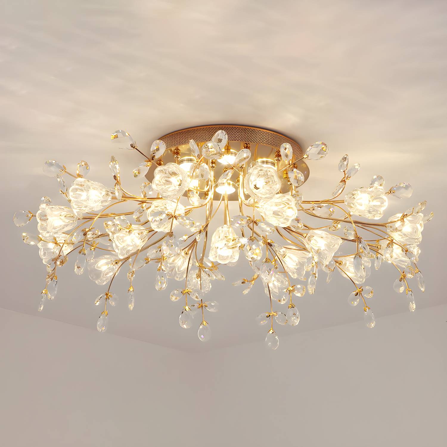 Imported image 51997e3e89b3 4879758.jpg