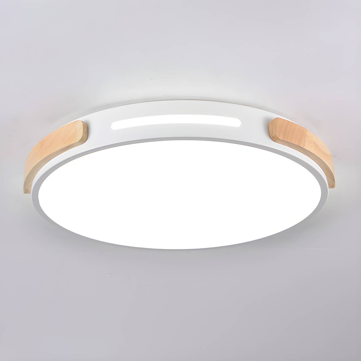 Imported image 5e4803a35069 4891318.jpg