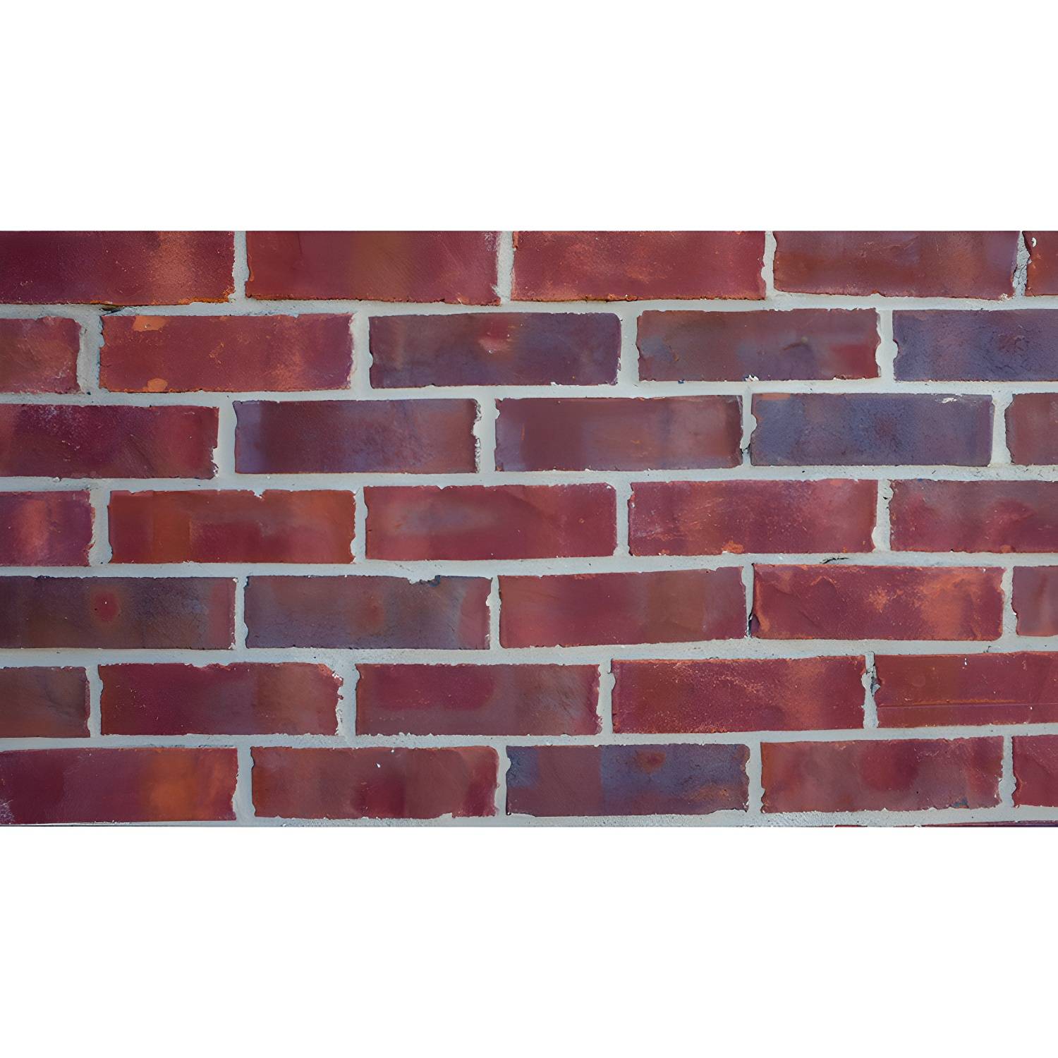 Imported image 4d33028bc9f8 4903693.jpg