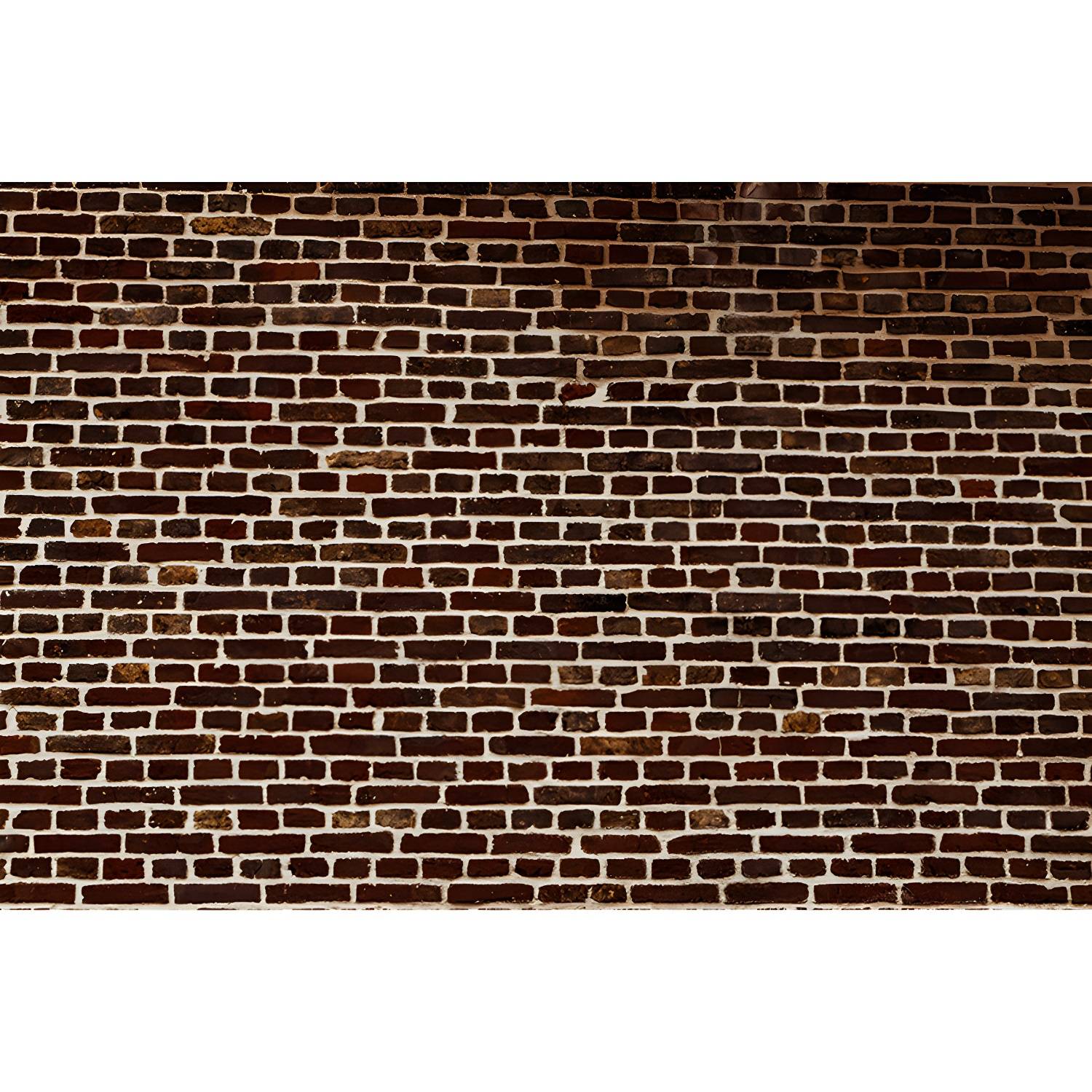 Imported image 494b2399f91b 4903701.jpg