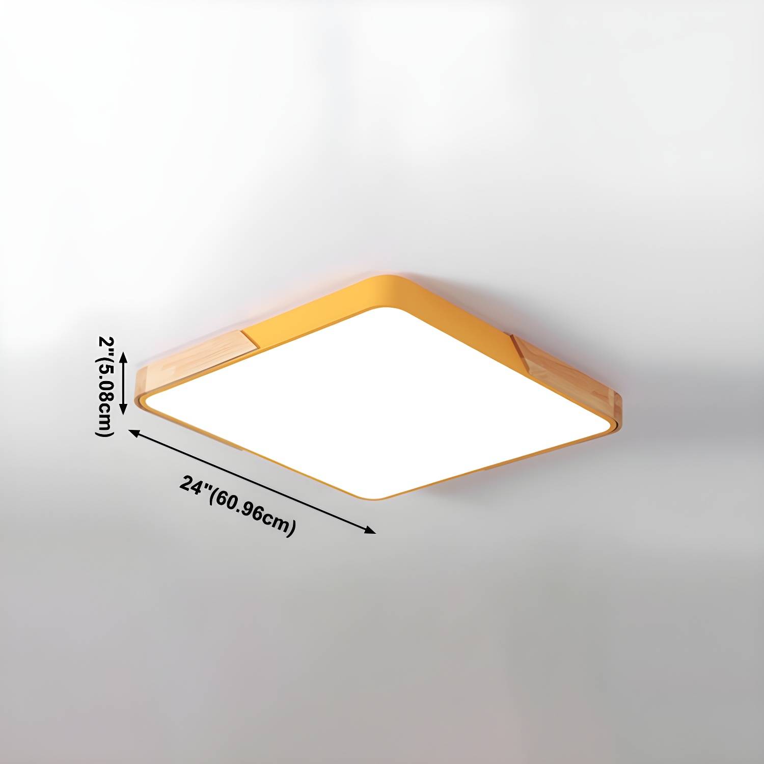 Imported image d64eabf6a8e1 4905110.jpg