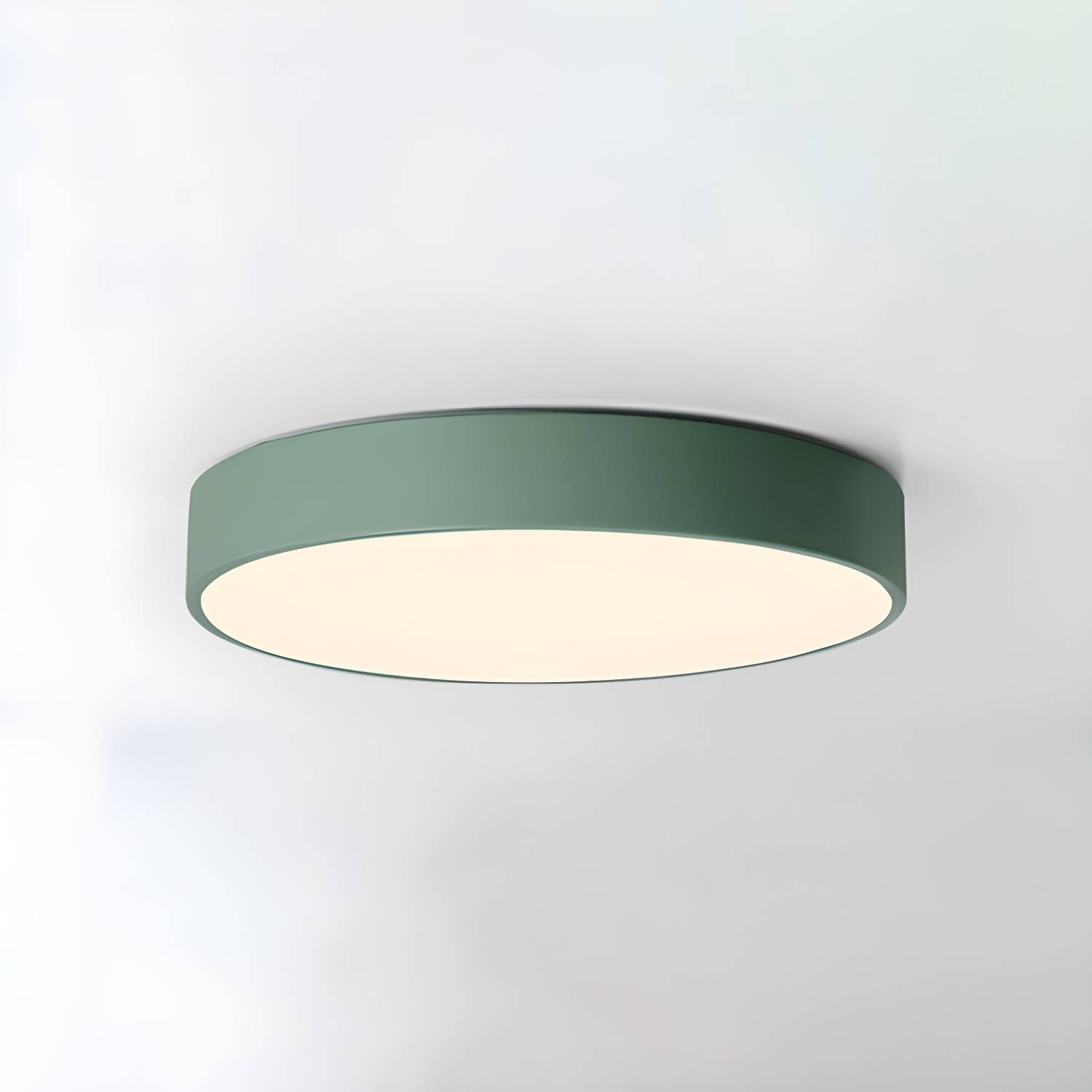 Imported image f810d2c41356 4905379.jpg