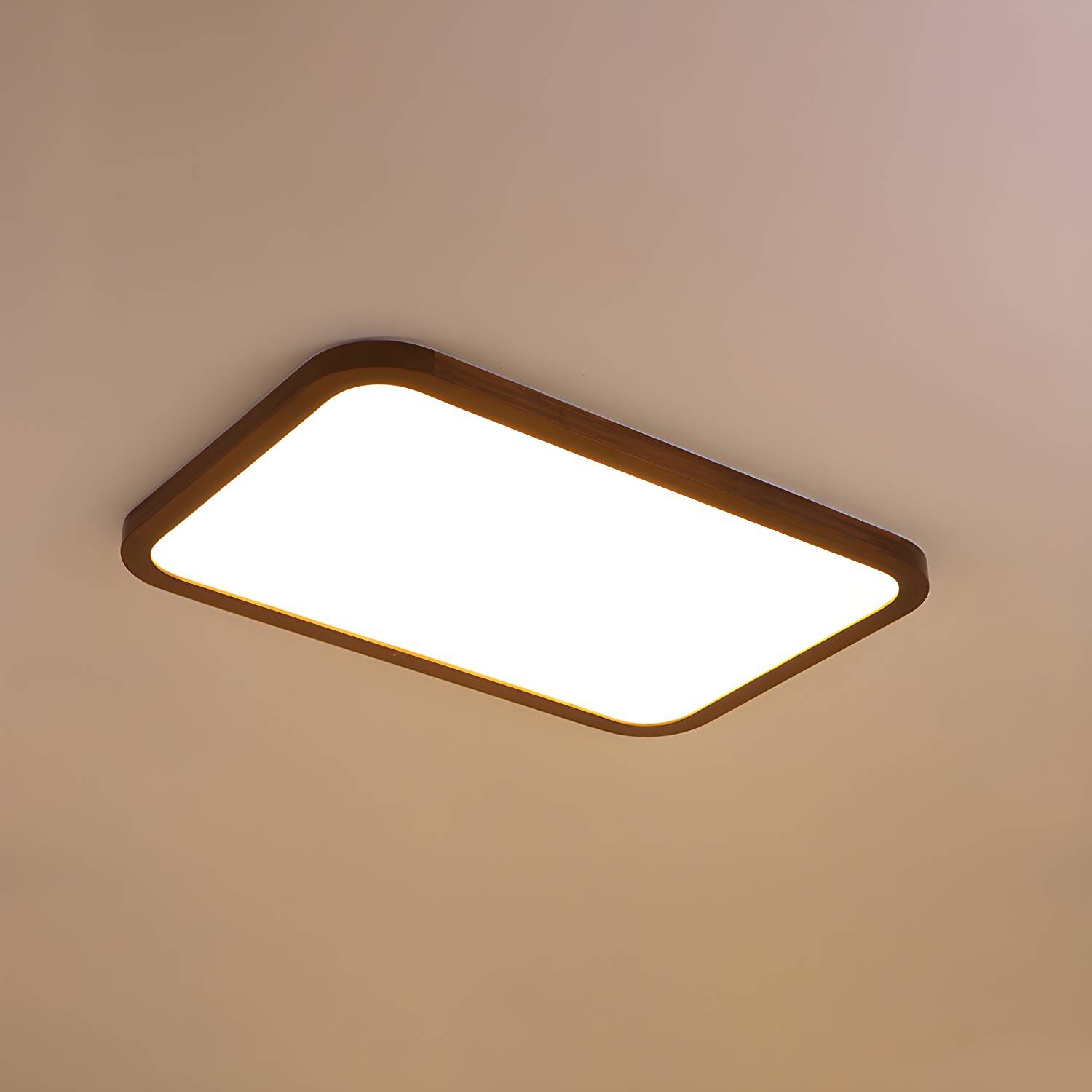 Imported image 9a7dfc4109a1 4915838.jpg