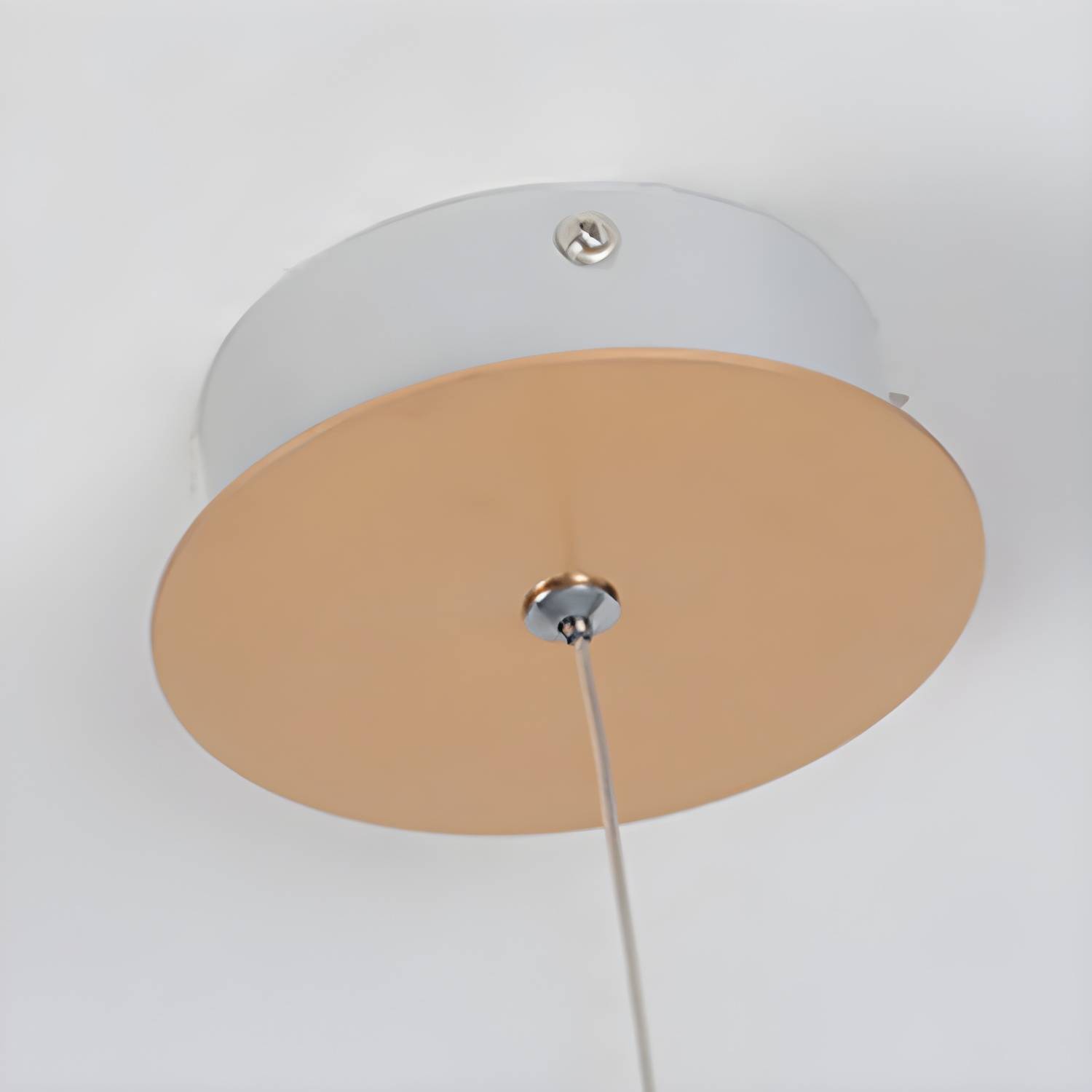 Imported image 91c57b20d1f6 4917685.jpg