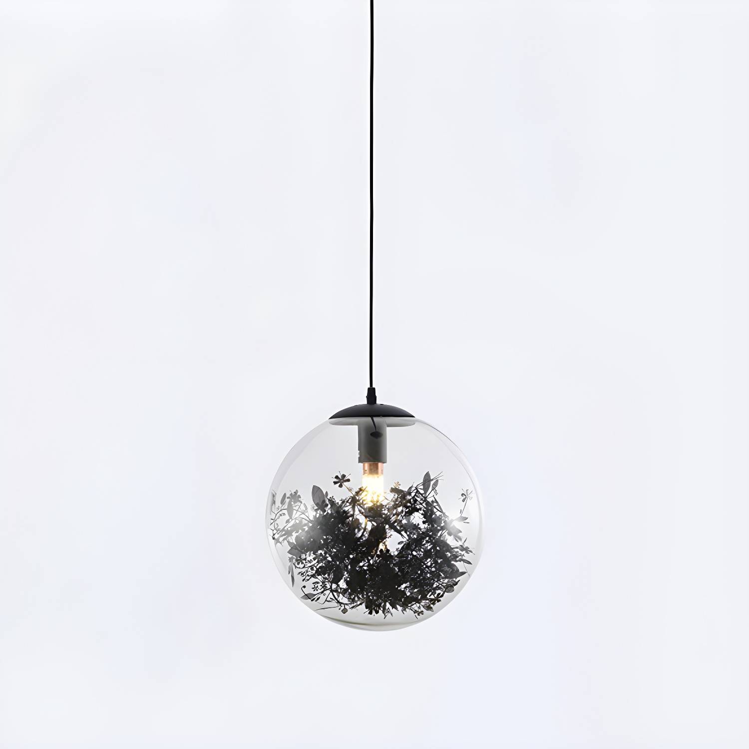 Imported image b6f964a1a570 4944597.jpg