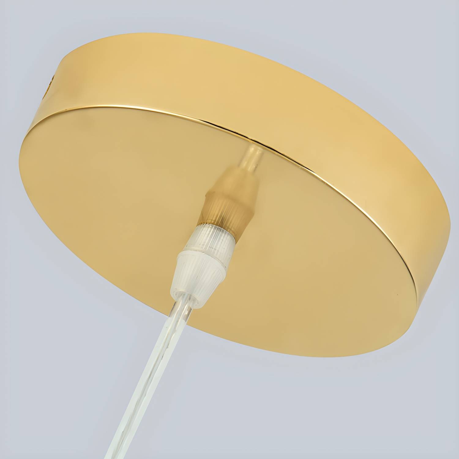 Imported image fe7b164e261d 4944600.jpg