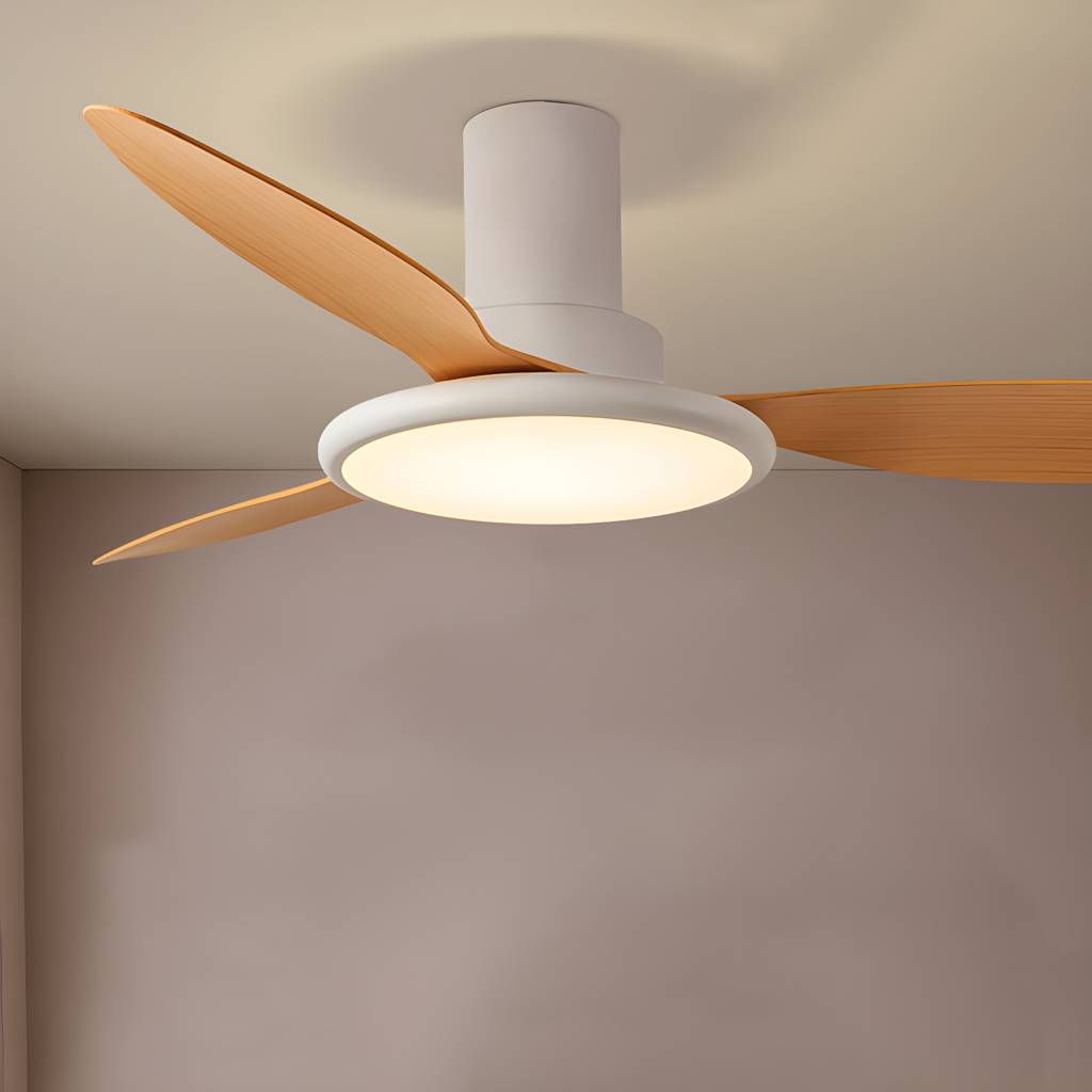 Imported image f760593aa512 4945223.jpg