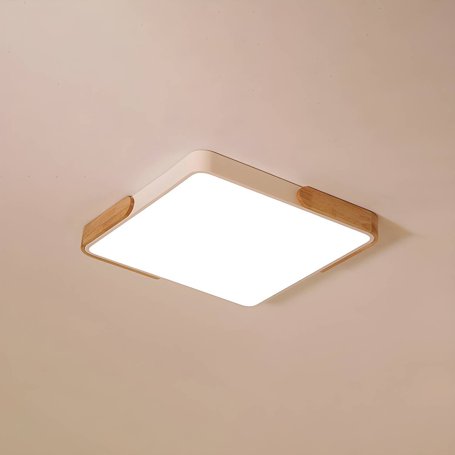 Imported image c9595dd5c399 4947278.jpg