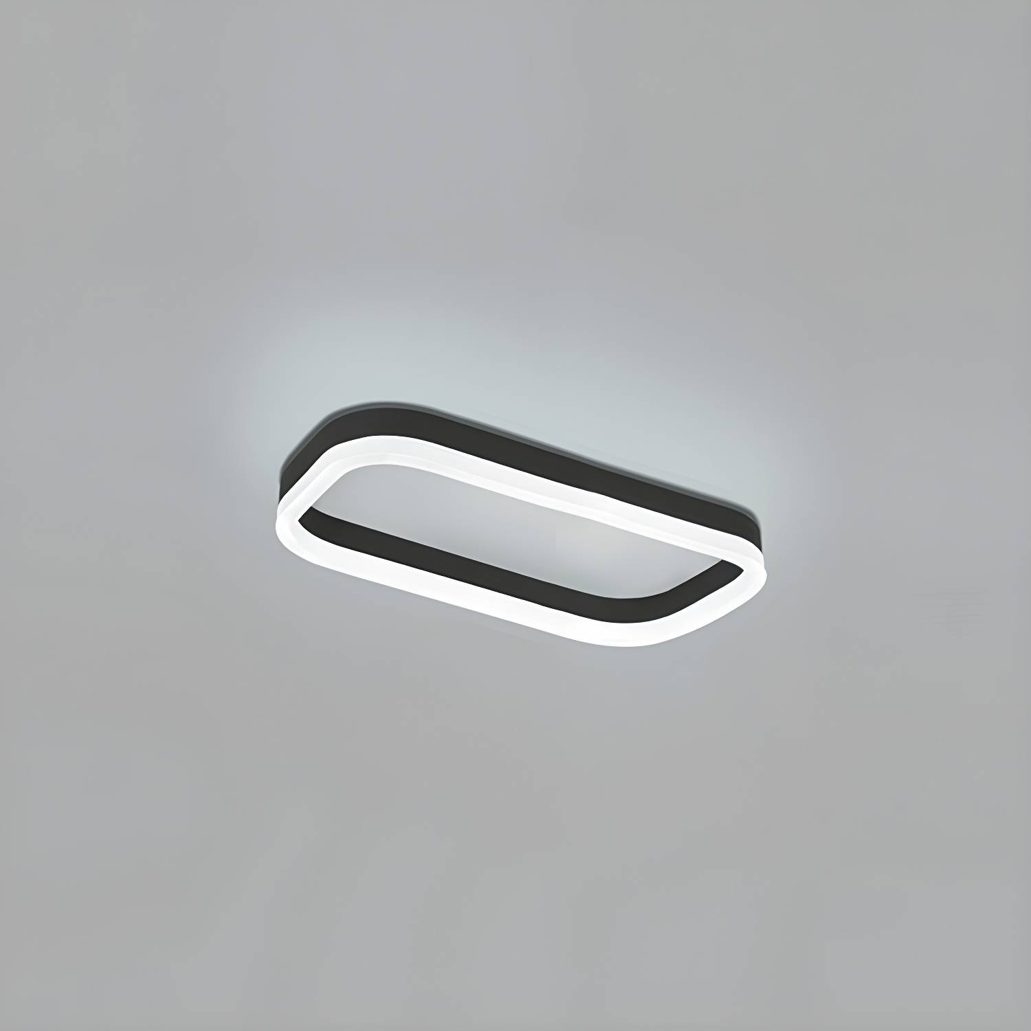 Imported image 3814dfe1734a 4947568.jpg