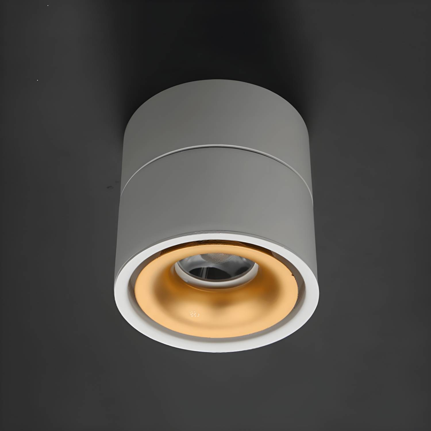 Imported image 435c0cea1738 4956433.jpg