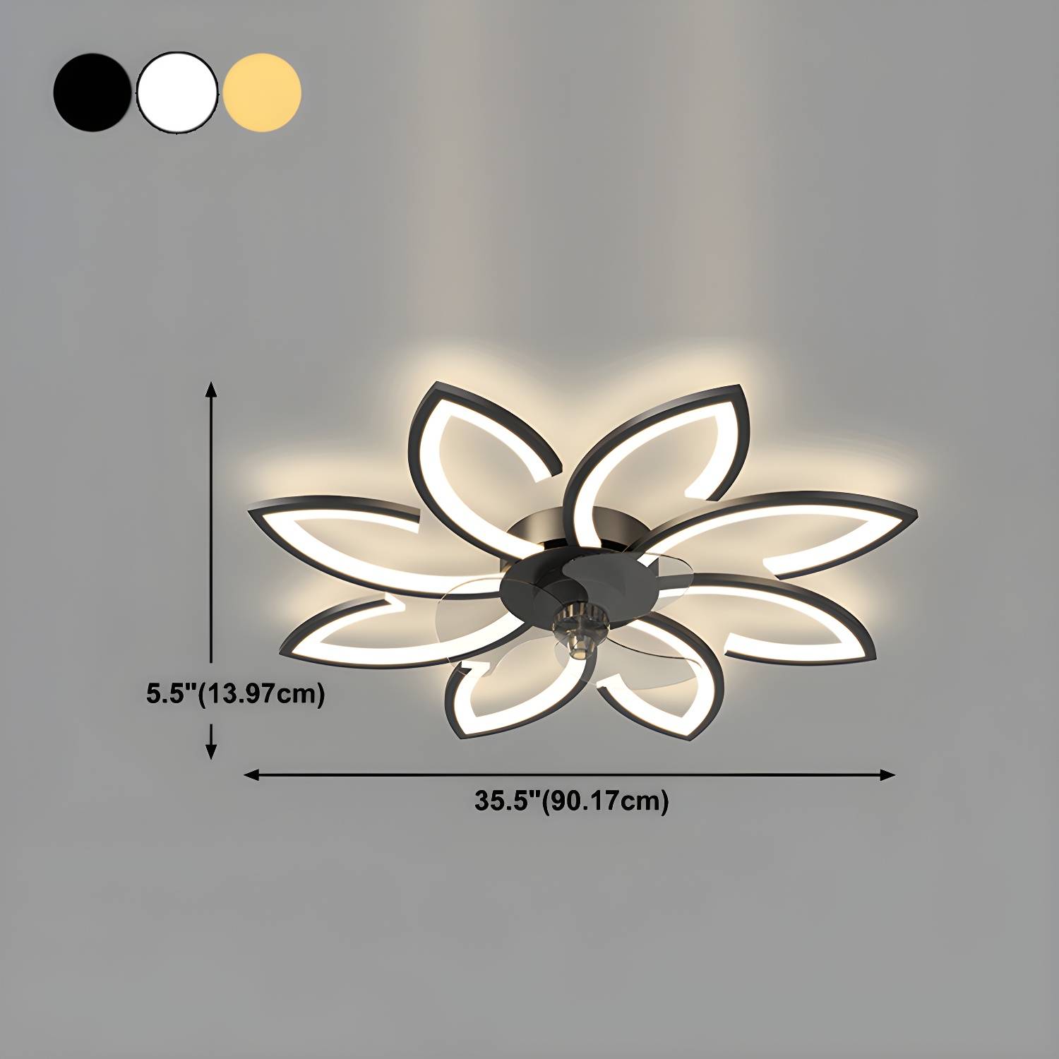 Imported image 8e5a1961ab8e 4959428.jpg