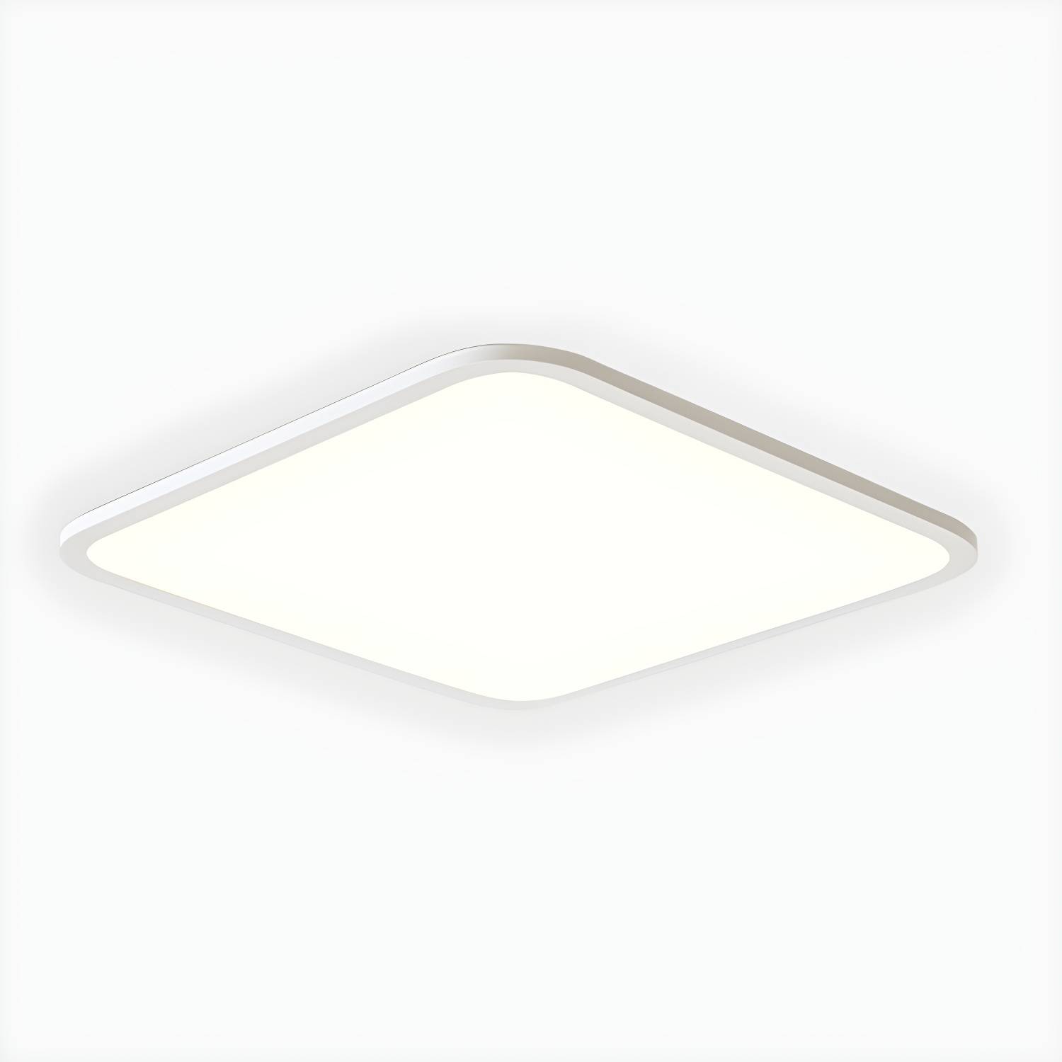Imported image 988aa46d976c 4979790.jpg