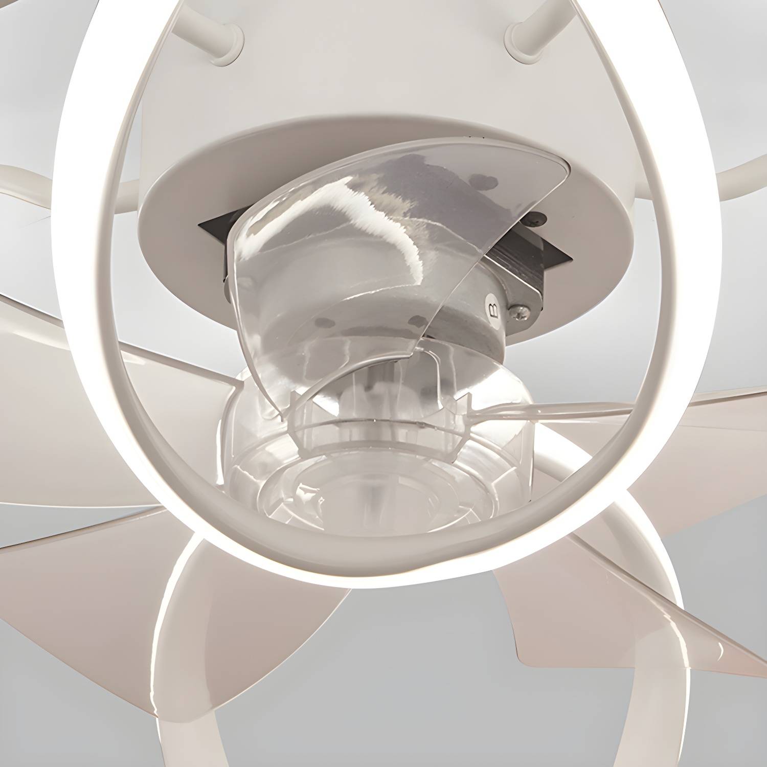 Imported image 4d666ce876de 4981689.jpg